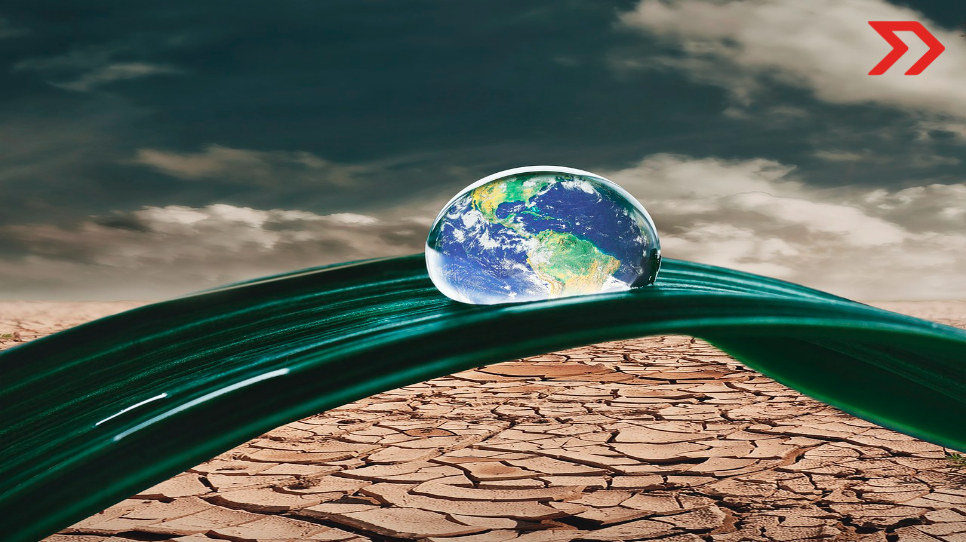 COP27