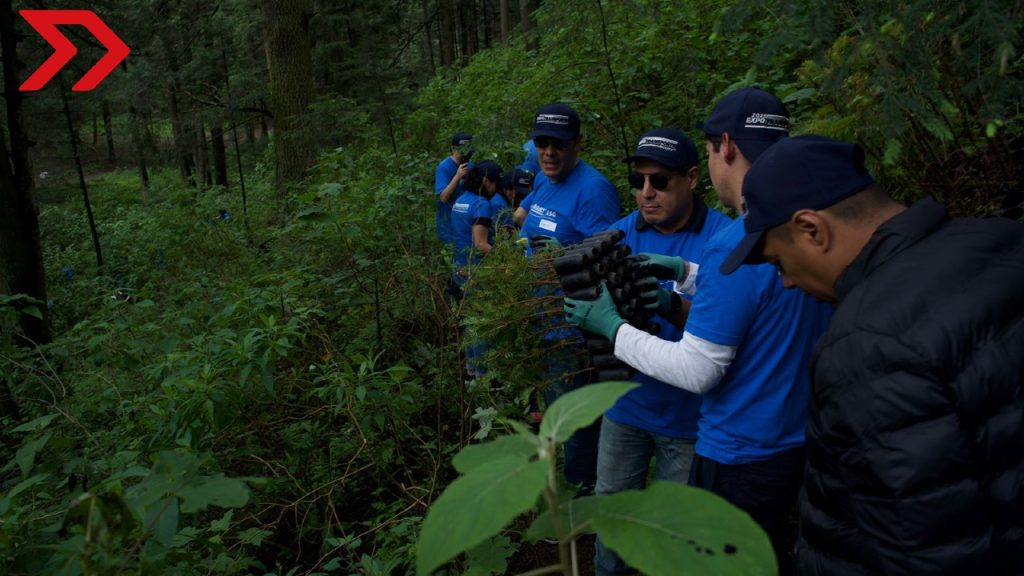 ANPACT y 15 empresas automotrices plantan 600 árboles en Ocoyoacac, Estado de México, como parte de su compromiso ambiental.