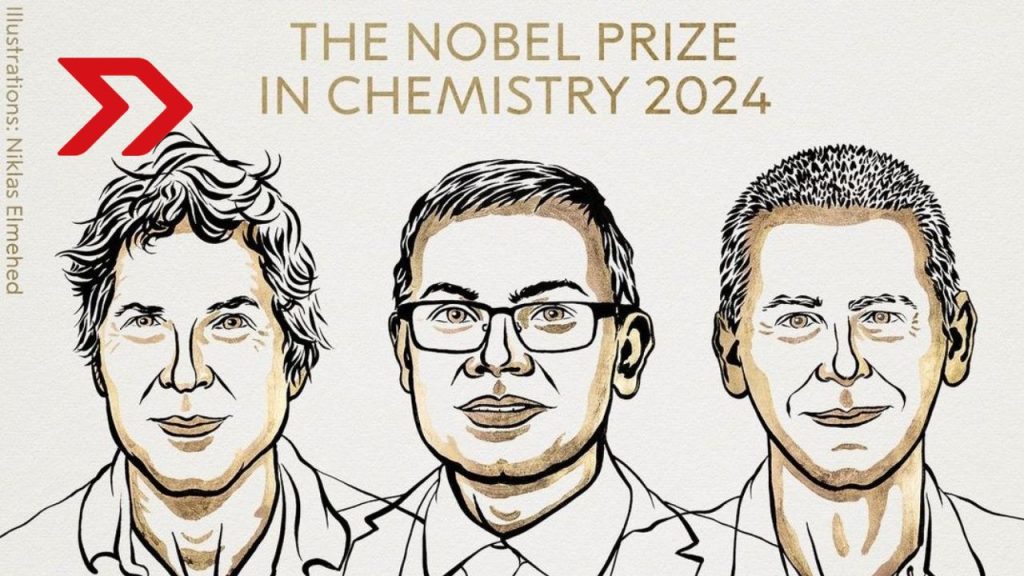 El Nobel de Química 2024 reconoce logros en la construcción de proteínas nuevas y la predicción de sus estructuras de nuevas posibilidades.