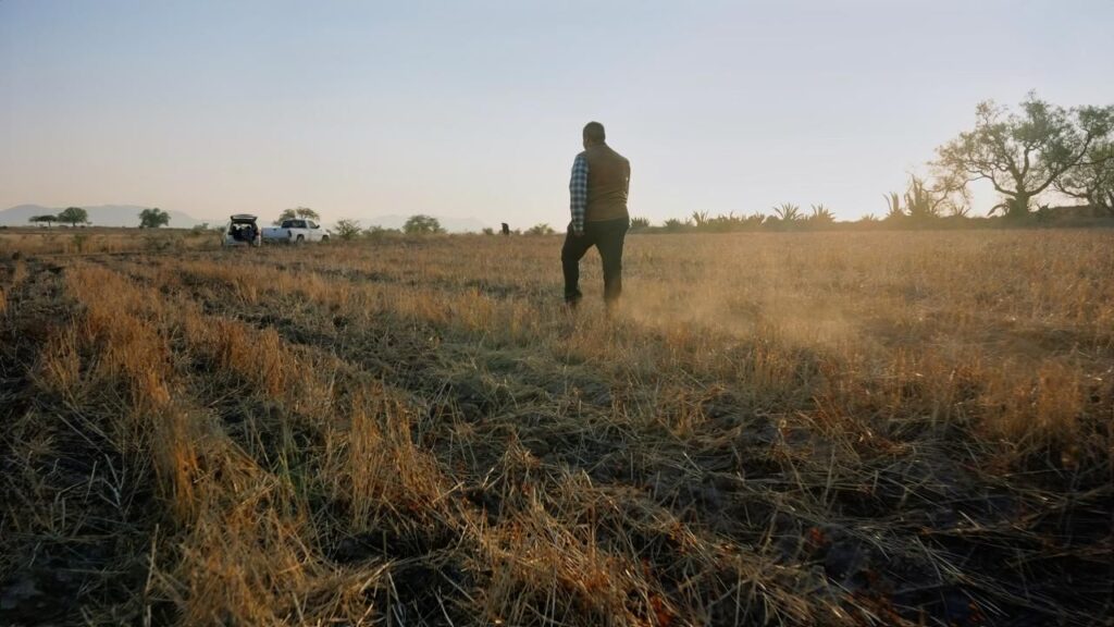 Agricultura regenerativa Kilimo