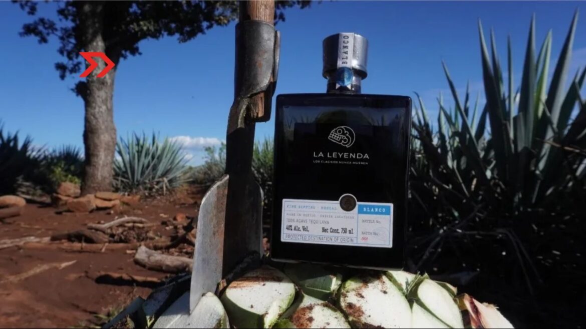 Leyenda Mezcal agave