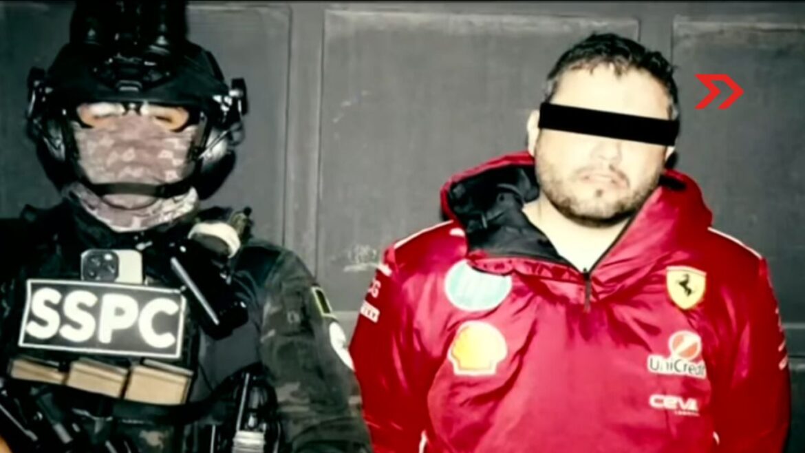 Enjambre" en Tequila