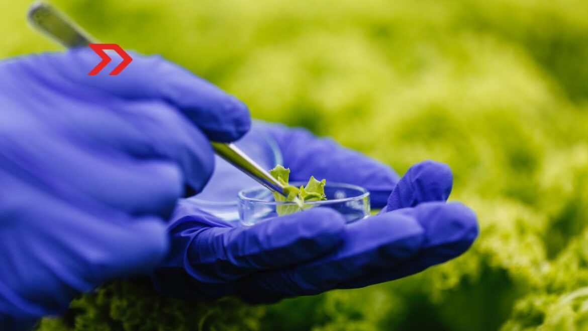 Uniendo Esfuerzos por el Desarrollo Sostenible en Biotecnología y Salud en México