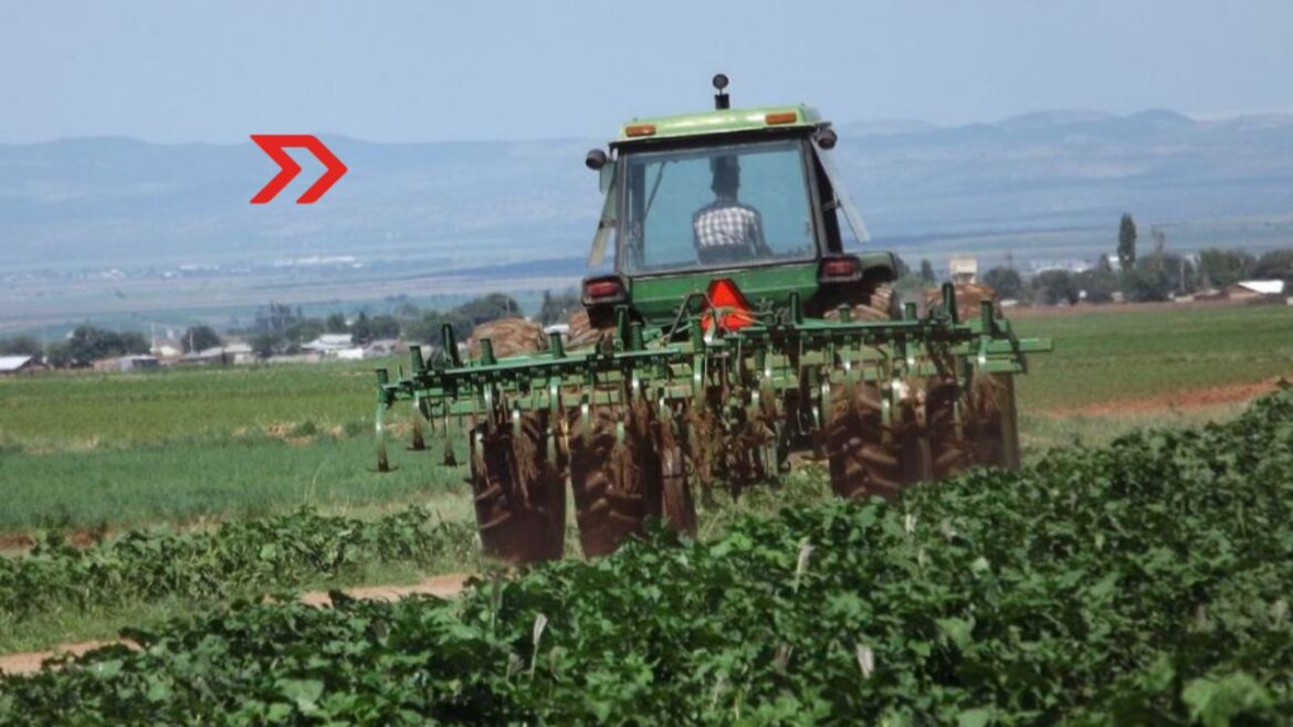 Actividad Económica creció 0.5% anual en enero de 2026 impulsada por sector primario