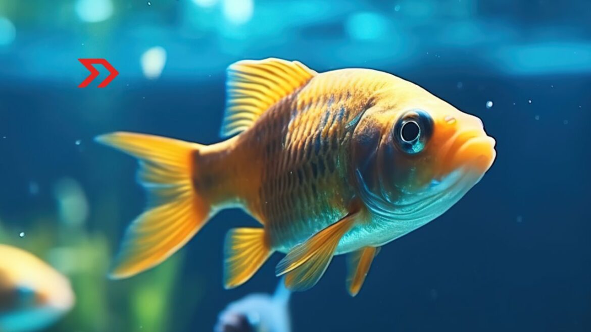 El Síndrome de Peixe-Lúcio: la trampa mental que nos impide avanzar