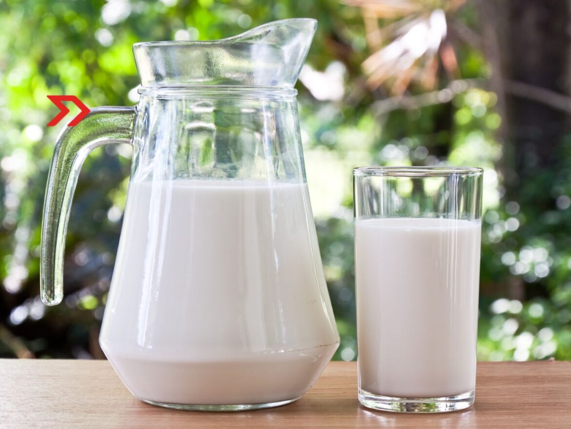 México y Lala, potencias en Día Mundial de la Leche