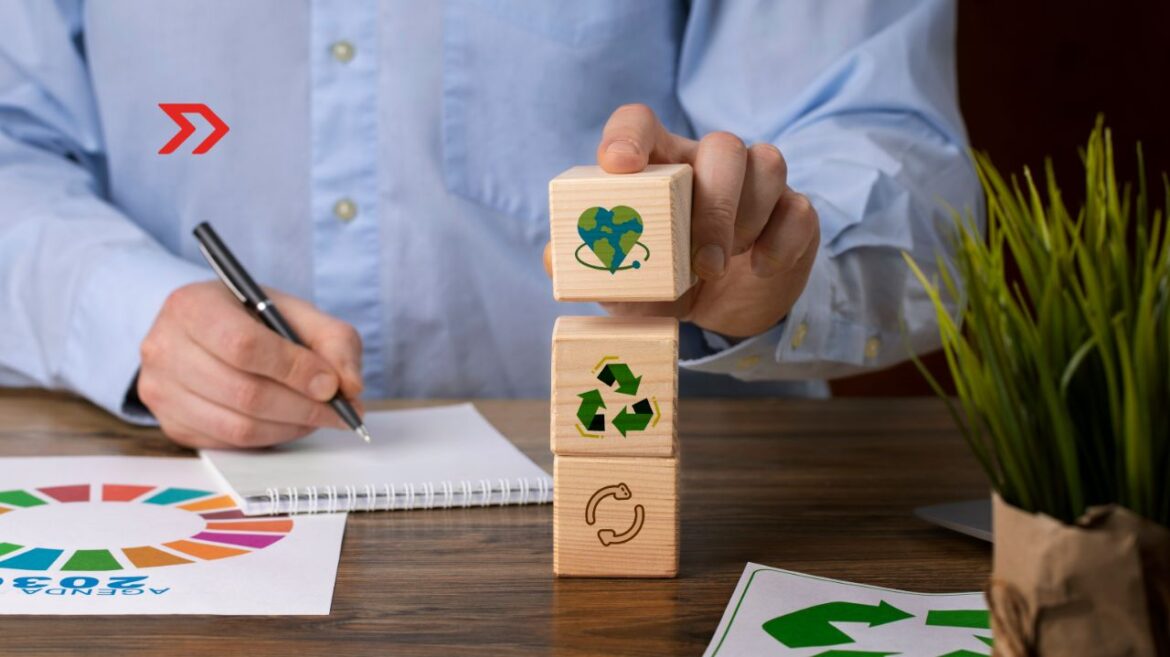 Sostenibilidad: la piedra angular del ecosistema emprendedor