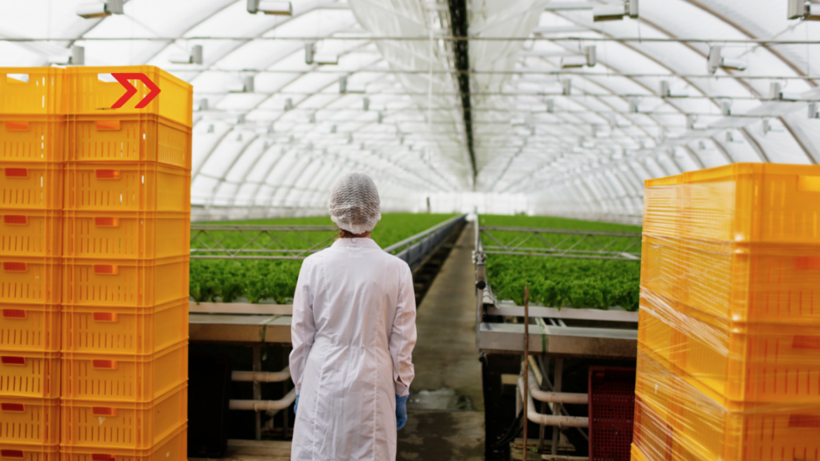 Loads levanta financiamiento de deuda por 15 mdd para impulsar a PyMEs exportadoras de alimentos