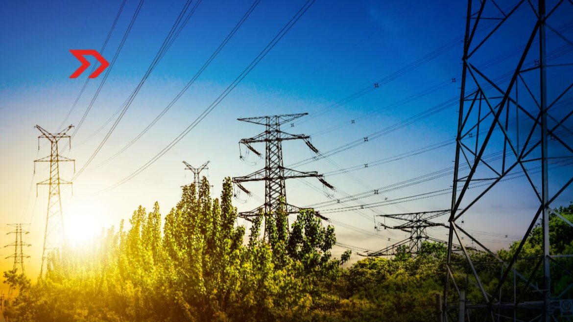 El costo de ignorar el campo, la energía y la red